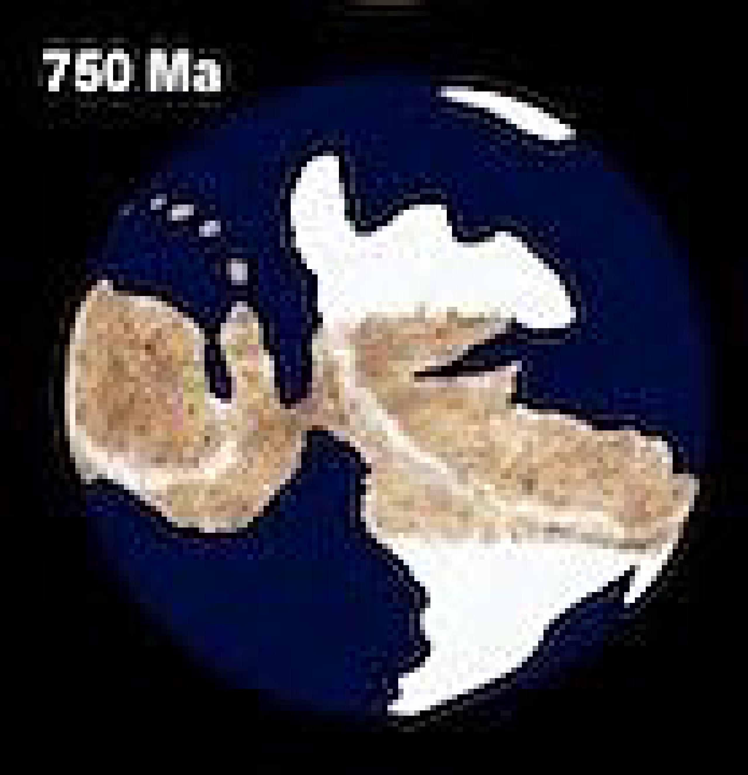 Proterozoik (2500-541 mln lat)
