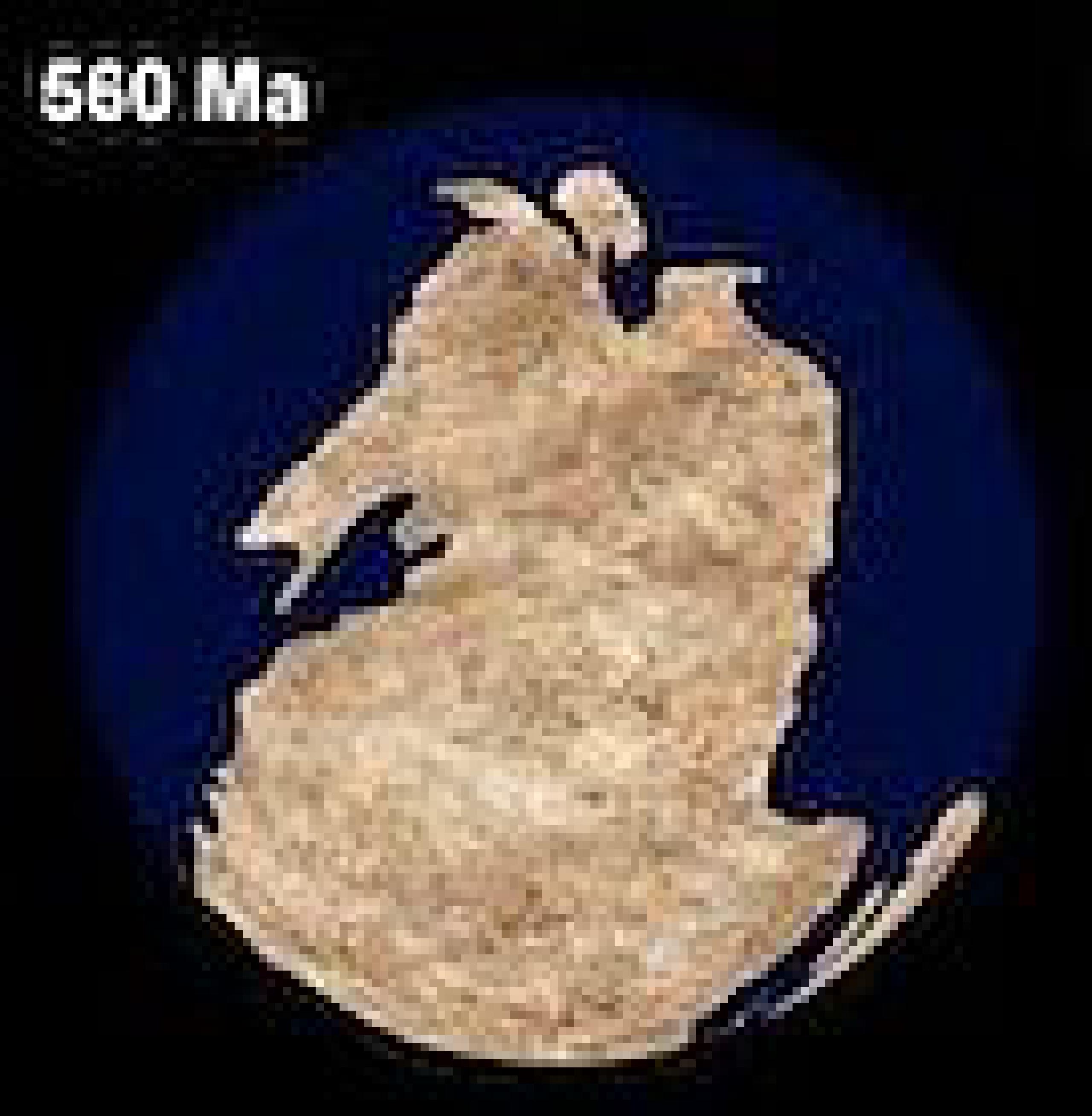 Ediakar - dolny kambr (635-509 mln lat)